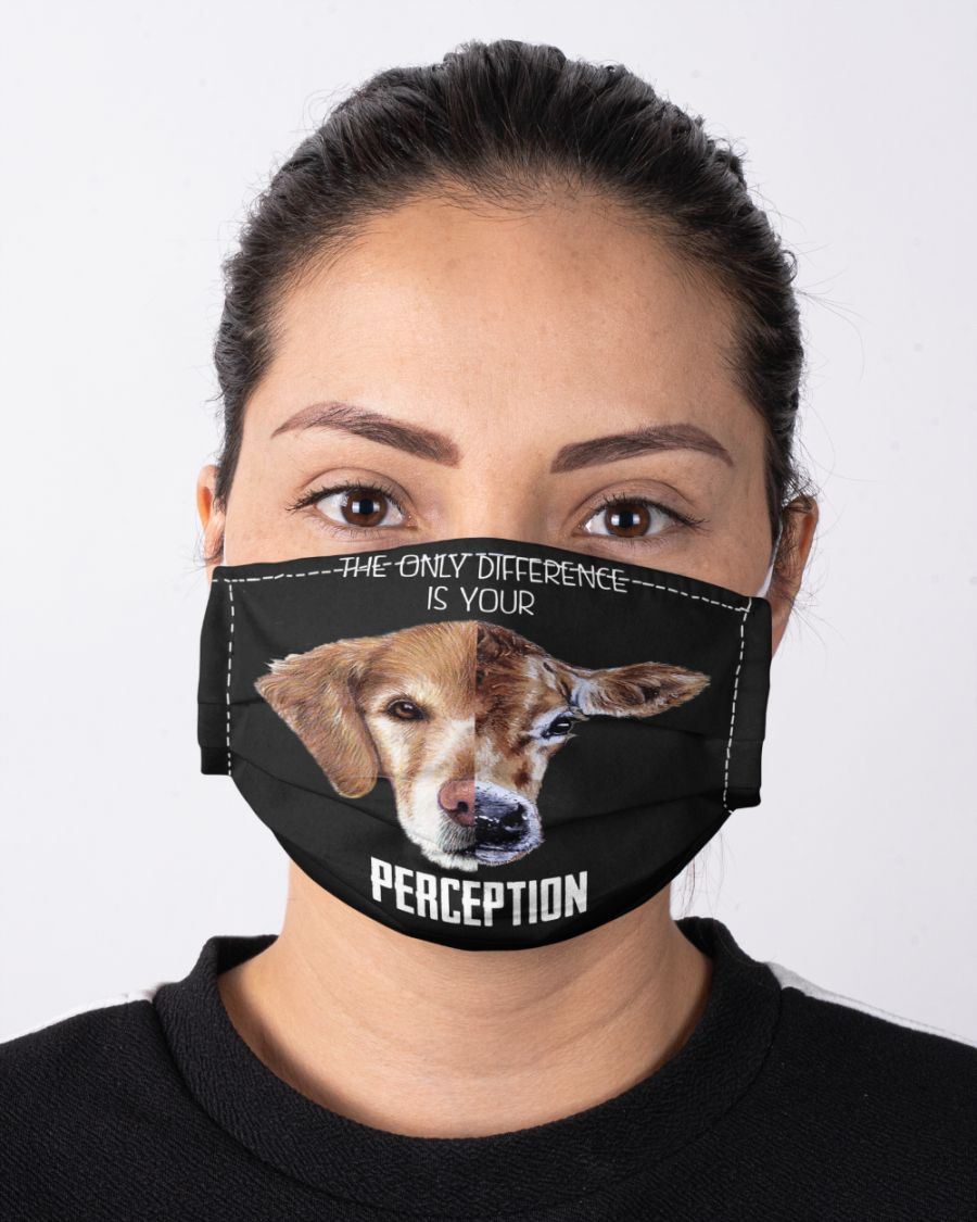 The only difference is your perception face mask