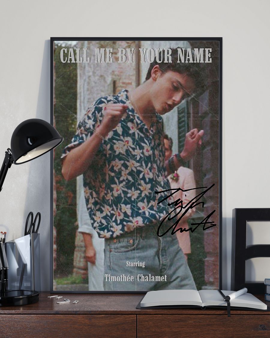 Call me by your name timothee chalamet poster – maria
