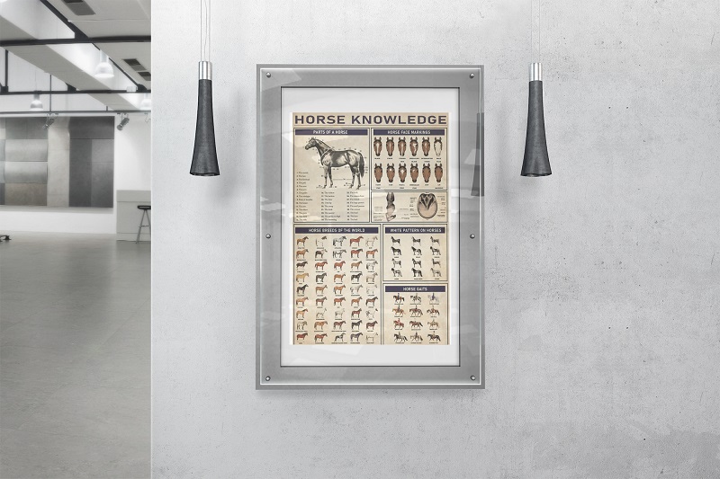 Horse knowledge poster