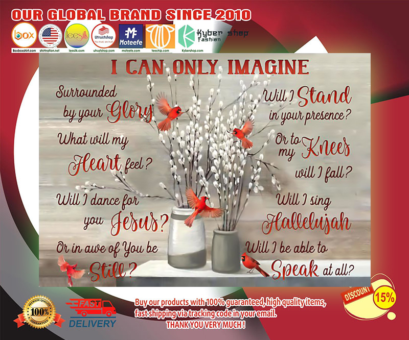 Cardinal I can only imagine poster 3