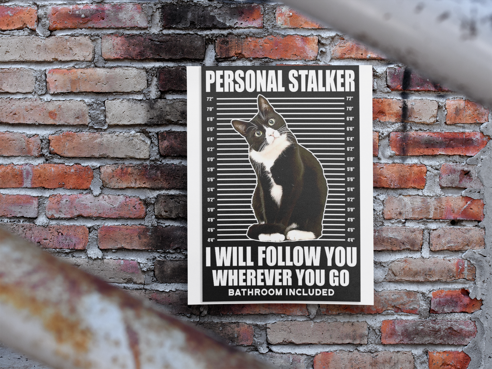 Cat Personal stalker I will follow you wherever you go bathroom included poster 3