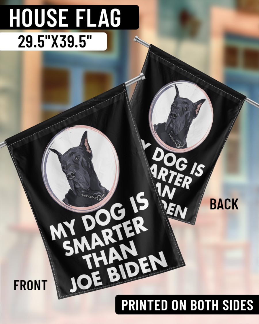 Great Dane my dog is smarter than Joe Biden flag 2