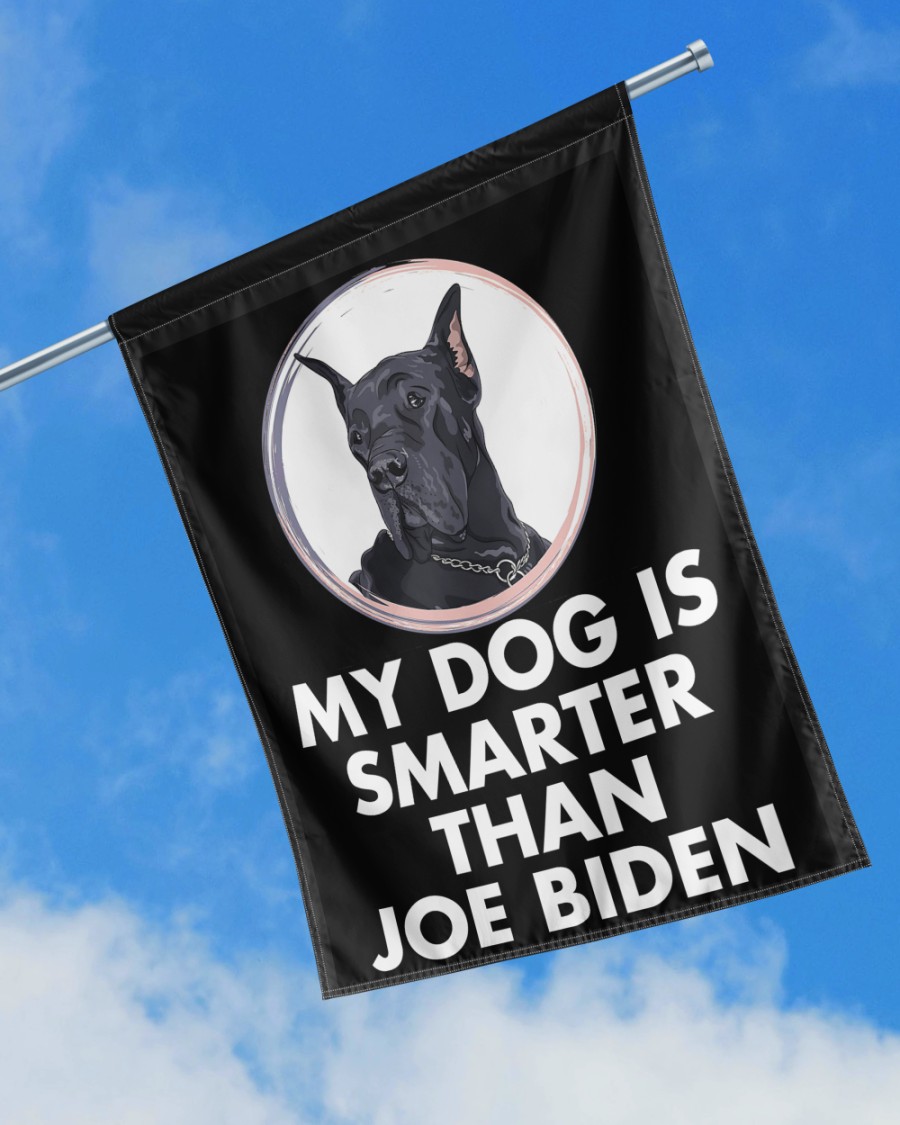Great Dane my dog is smarter than Joe Biden flag
