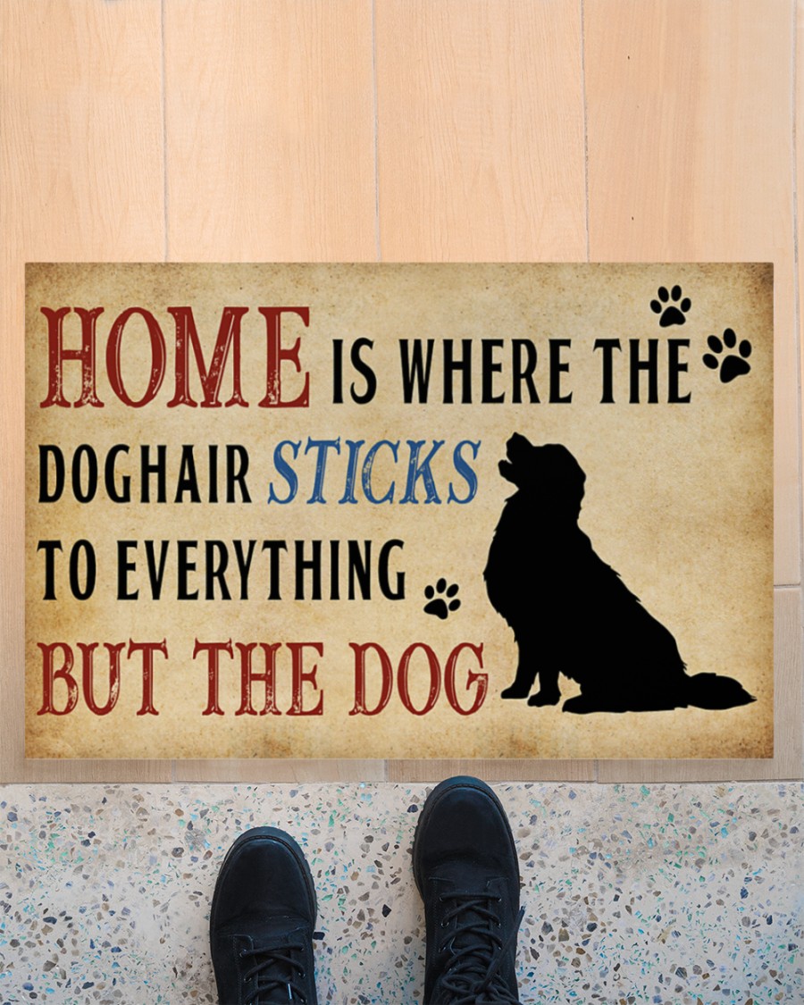 Home is where the dog hair sticks to everything but the dog doormat