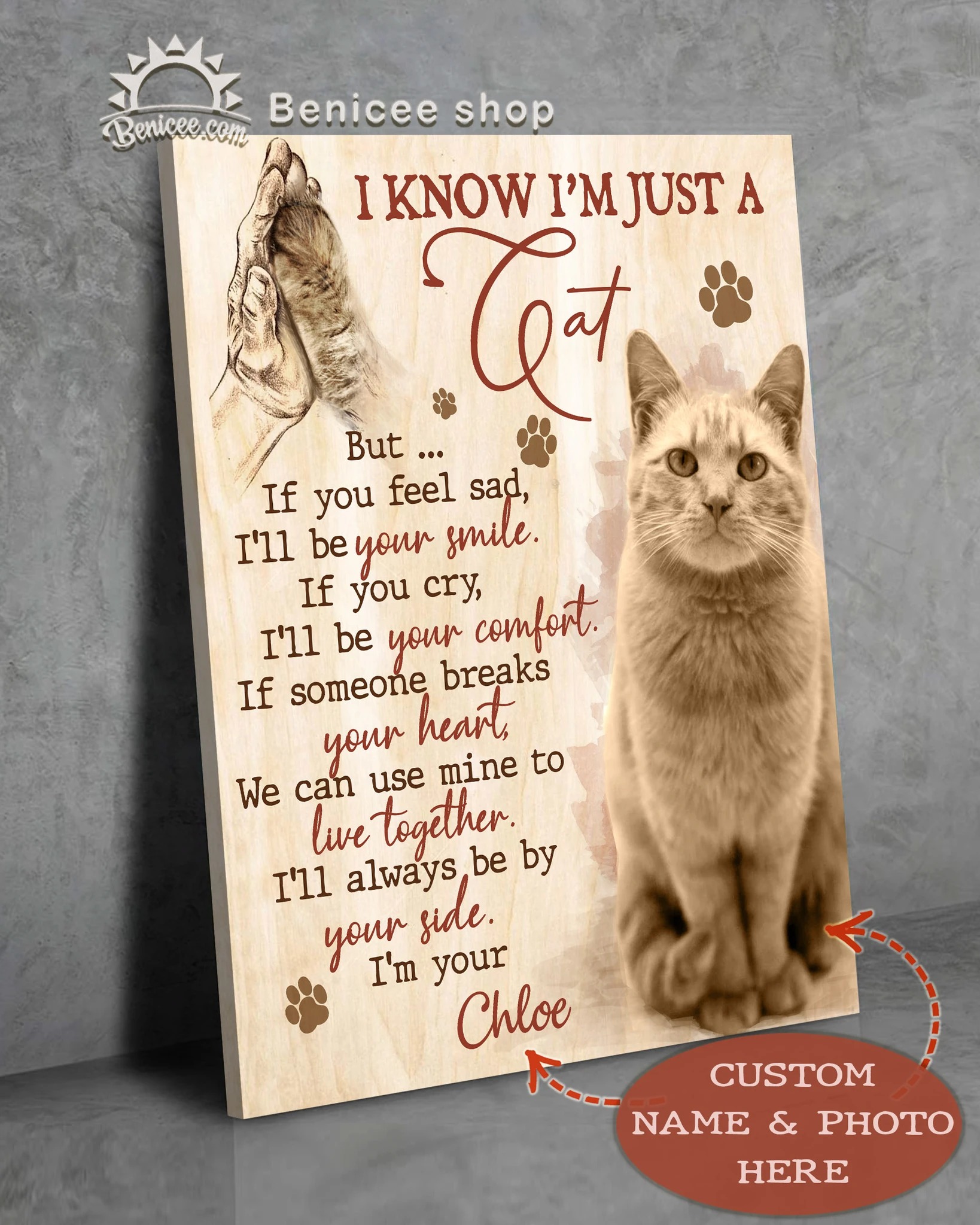 Custom photo and name i know i'm just a cat canvas prints 3