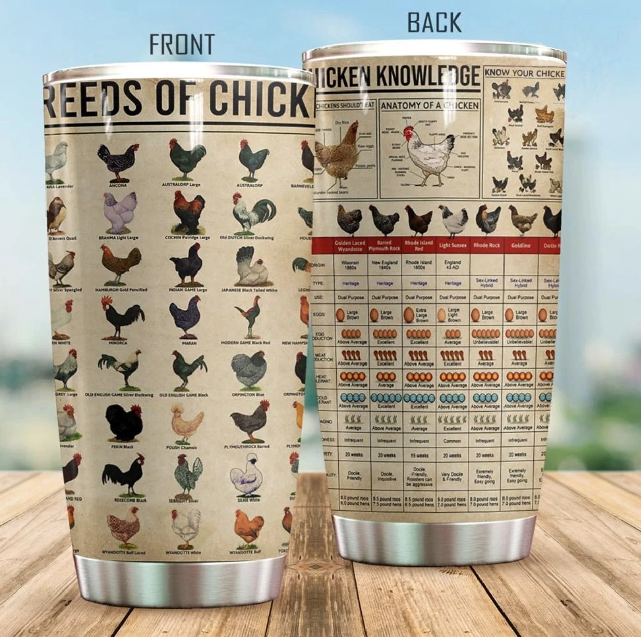 Breed of chick Chicken Knowledge TumblerB – LIMITED EDITION