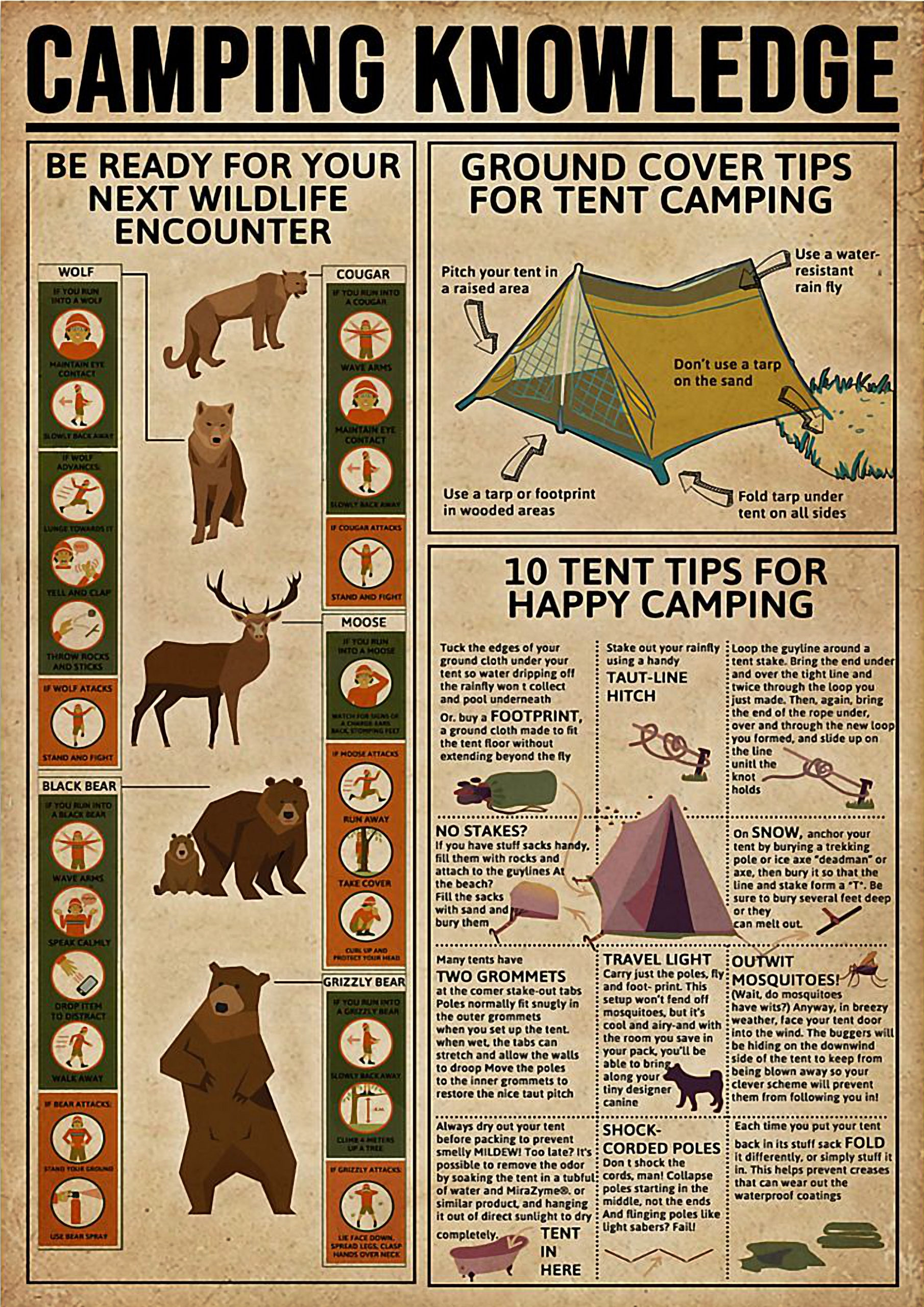 Camping Knowledge Poster – Teasearch3D 290220