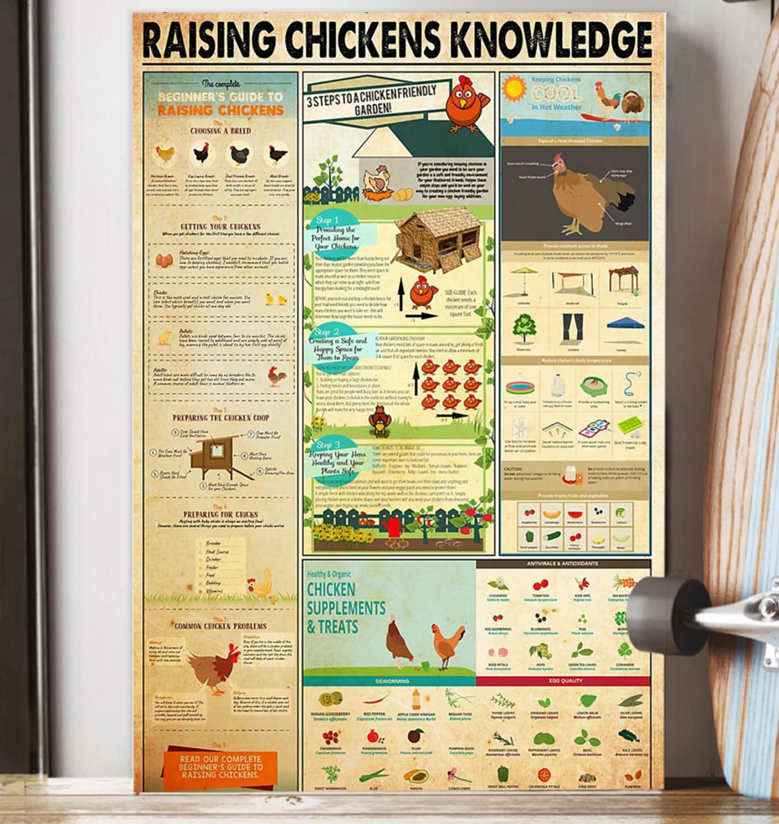 Raising Chickens Knowledge Poster