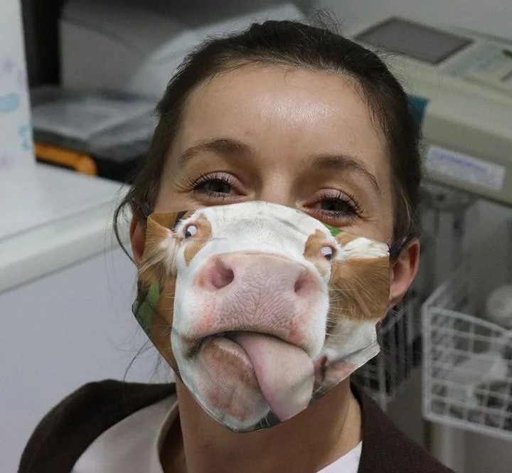 Cow sticking out tongue face mask