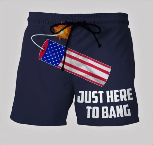 Just here to bang beach short – dnstyles