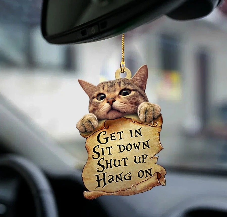 Cat get in cat lover two sided ornament1