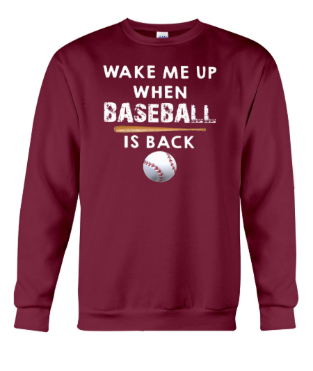 Wake me up when baseball is back sweater