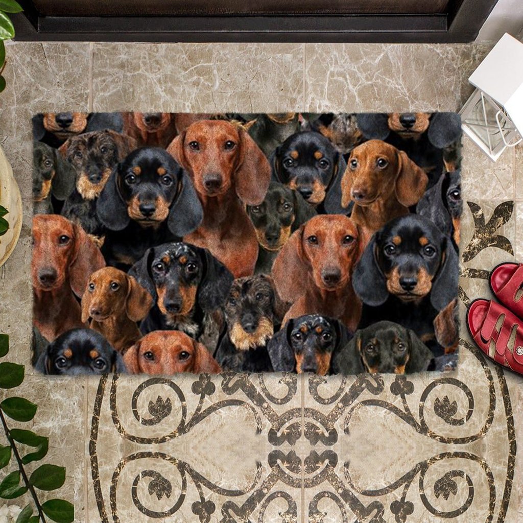 A Bunch Of Dachshunds Doormat – Saleoff 081021