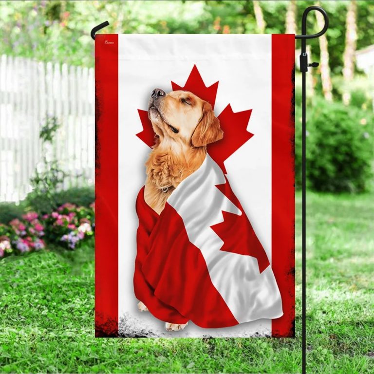 Golden Retriever Canada flag 3