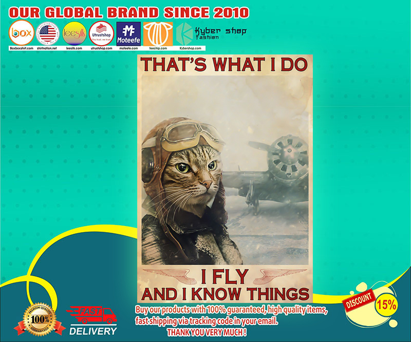 Pilot Cat That's what I do I fly and I know things poster 3