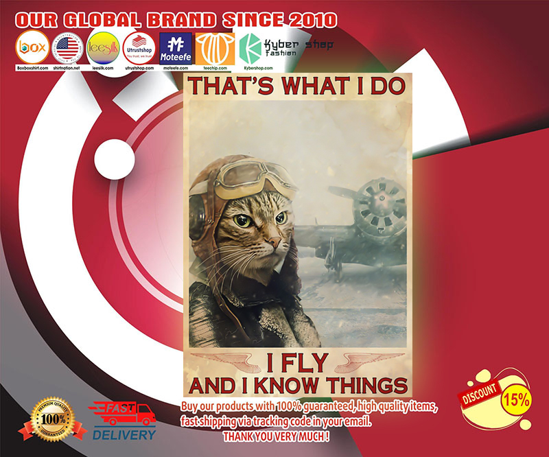 Pilot Cat That's what I do I fly and I know things poster 4