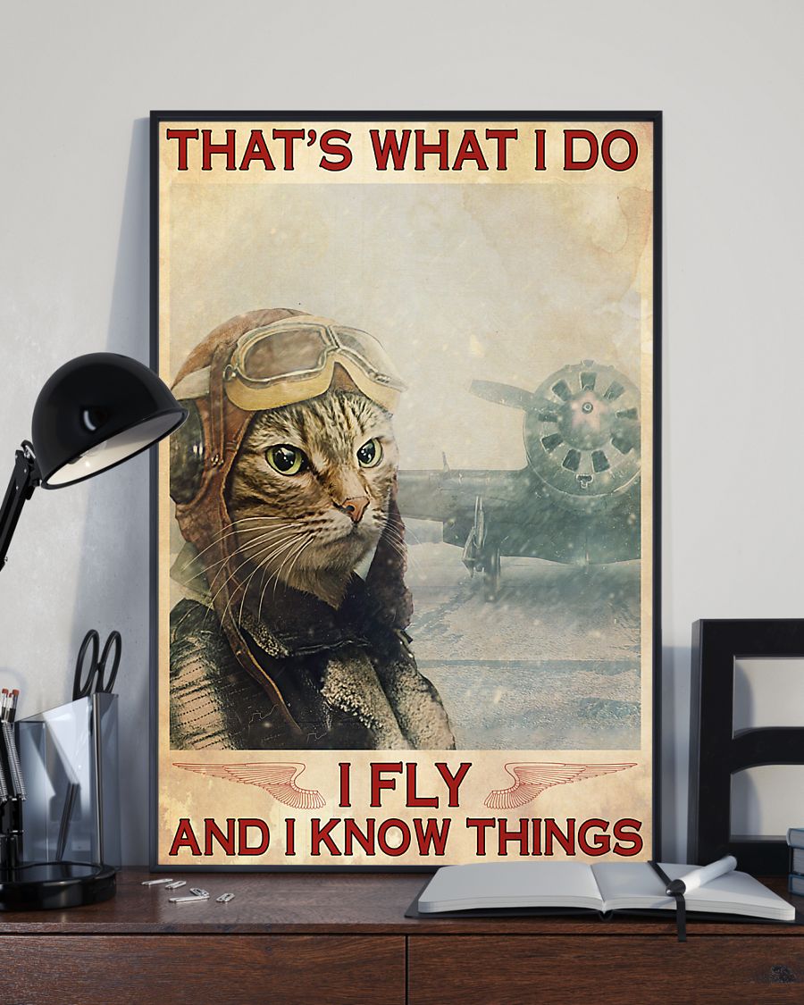 Pilot Cat That's what I do I fly and I know things poster 8