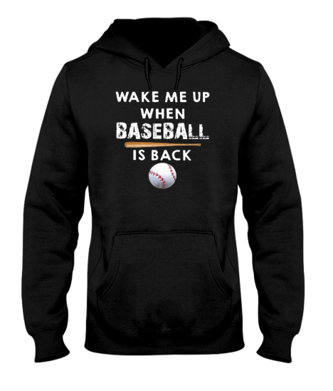 Wake me up when baseball is back hoodie