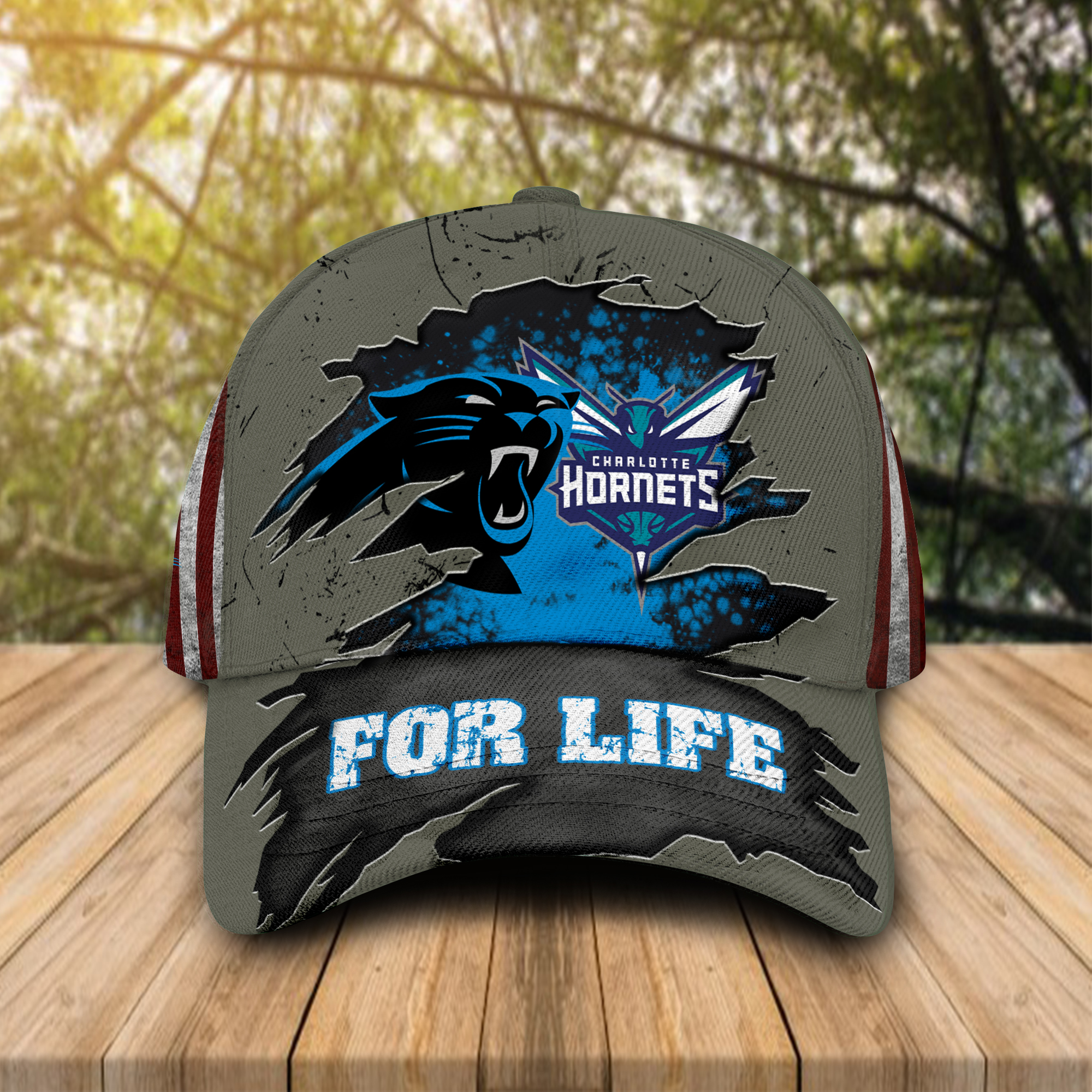 Carolina Panthers Charlotte Hornets For Life Cap