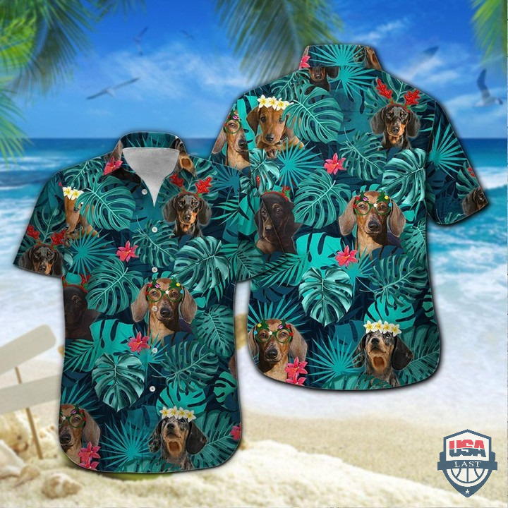 Dachshund And Tropical Leaves Hawaiian Shirt – Hothot 060122