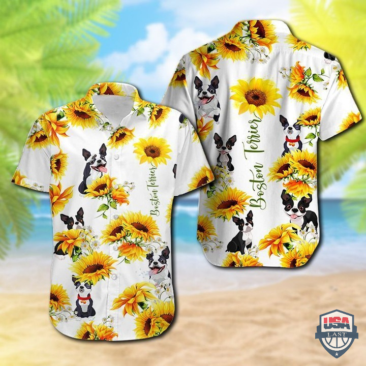QK3rjXfr-T060122-176xxxBoston-Terrier-Sunflower-Hawaiian-Shirt-1.jpg