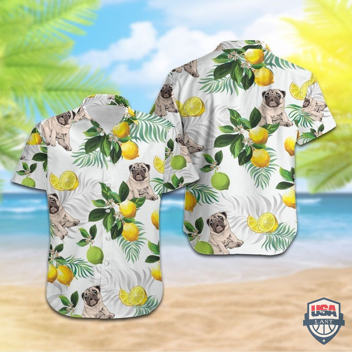 ZLFnmiHQ-T080122-134xxxPug-Lemon-Hawaiian-Shirt-Beach-Shorts-1.jpg