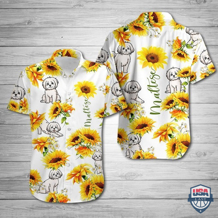 Maltese Sunflower Hawaiian Shirt – Hothot 060122
