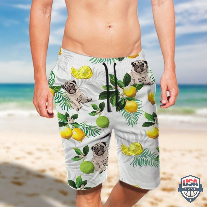 k8zwXYEZ-T080122-134xxxPug-Lemon-Hawaiian-Shirt-Beach-Shorts-2.jpg