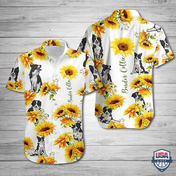 liFxlBKx-T060122-162xxxBorder-Collie-Sunflower-Hawaiian-Shirt-2.jpg