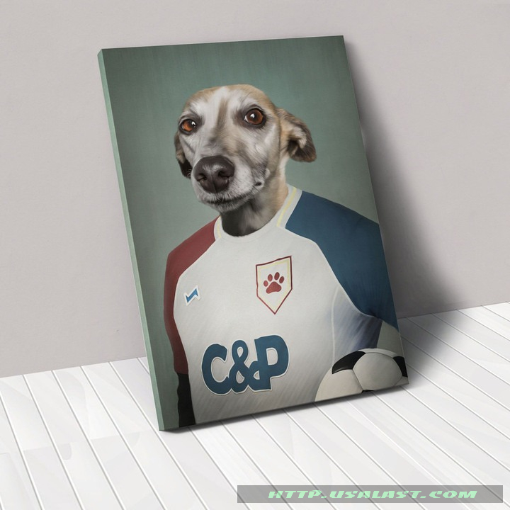 The Football Player Personalized Pet Poster Canvas – Hothot