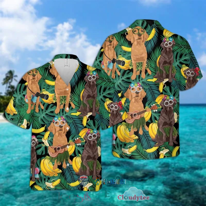 Chesapeake Bay Retriever Banana Tropical Hawaiian Shirt