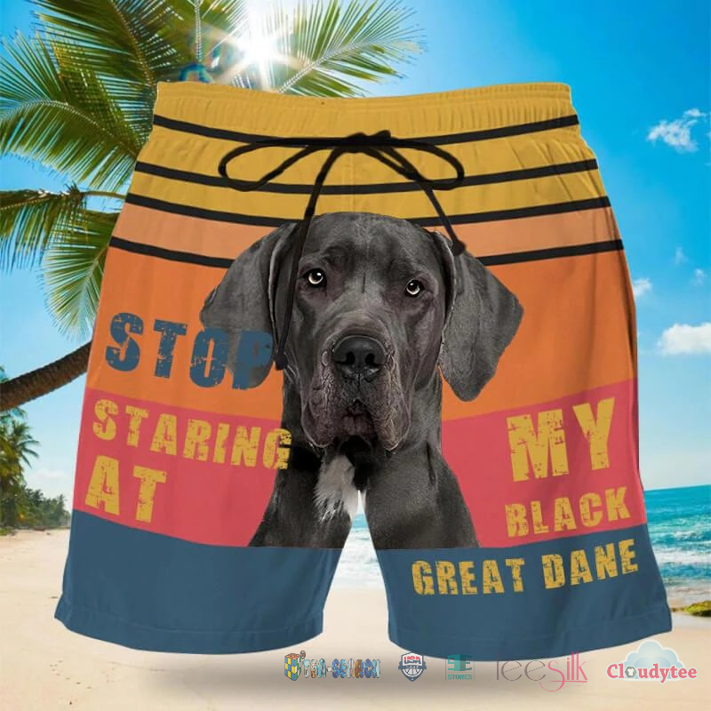 Stop Staring At My Black Great Dane Beach Shorts – Hothot