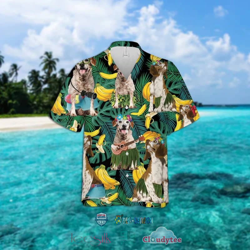 Brittany Dog Banana Tropical Hawaiian Shirt