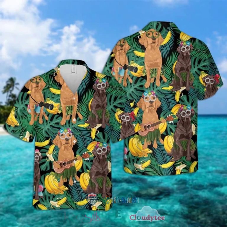 Chesapeake Bay Retriever Banana Tropical Hawaiian Shirt