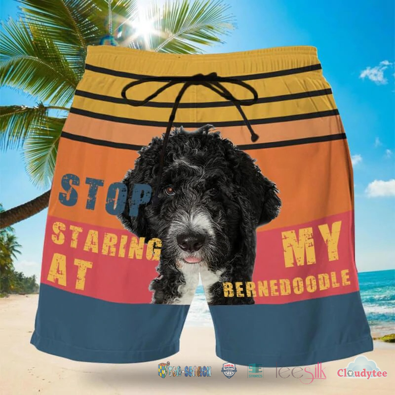 Stop Staring At My Bernedoodle Beach Shorts – Hothot