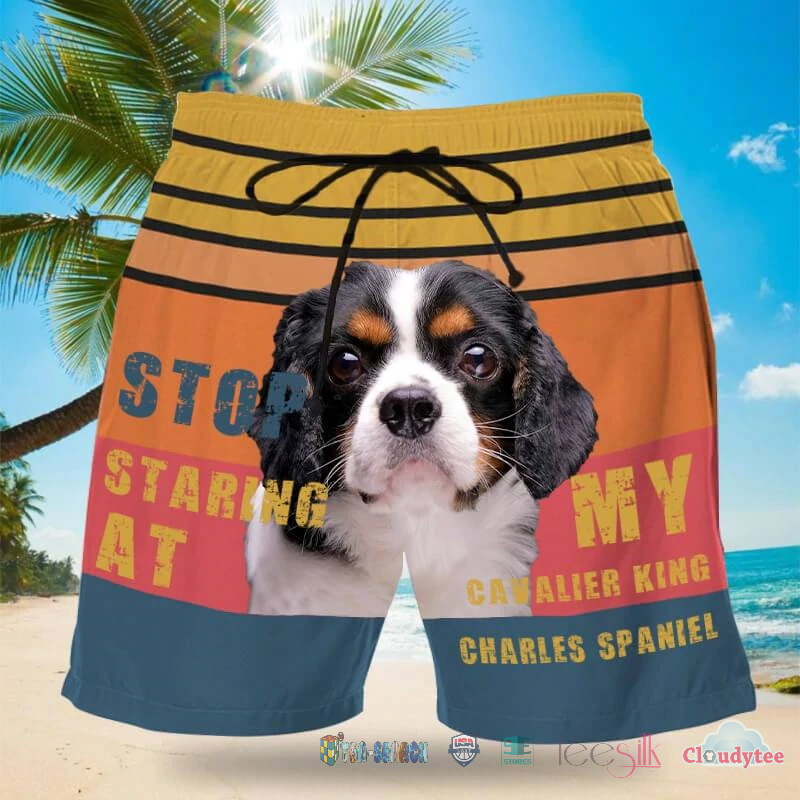 Stop Staring At My Cavalier King Charles Spaniel Beach Shorts – Hothot