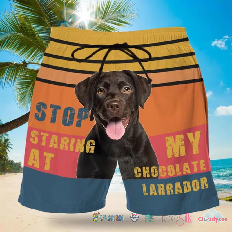 Stop Staring At My Chocolate Labrador Beach Shorts – Hothot