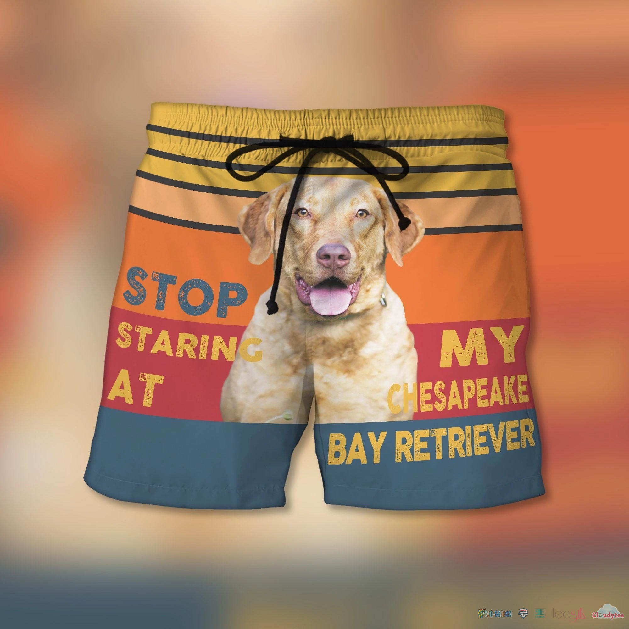 Stop Staring At My Chesapeake Bay Retriever Beach Shorts – Hothot