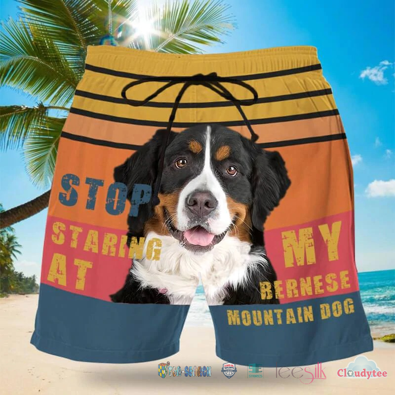 dBVIkOGz-T300322-028xxxStop-Staring-At-My-Bernese-Mountain-Hawaiian-Shorts.jpg