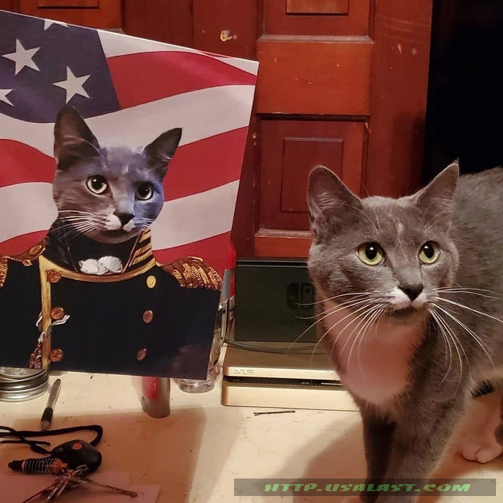 oy2JXrCT-T140322-048xxxThe-Admiral-American-Flag-Personalized-Pet-Poster-Canvas-2.jpg