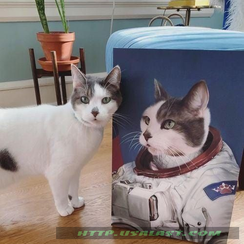 sI9DdTBT-T140322-073xxxPersonalized-Custom-Pet-The-Astronaut-Poster-And-Canvas-Print-2.jpg