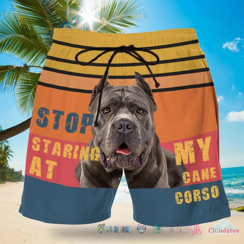Stop Staring At My Cane Corso Dog Hawaii Shorts – Hothot