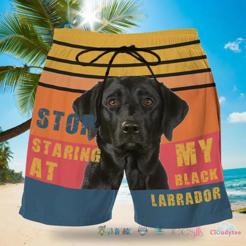 Stop Staring At My Black Labrador Beach Shorts – Hothot