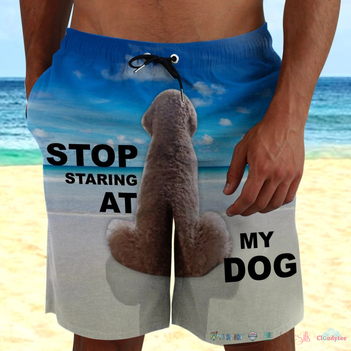 Stop Staring At My Dog Beach Shorts – Hothot