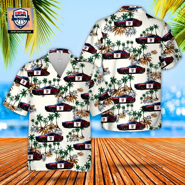 Minnesota State Trooper Dodge Chargers Hawaiian Shirt - It is more than cute