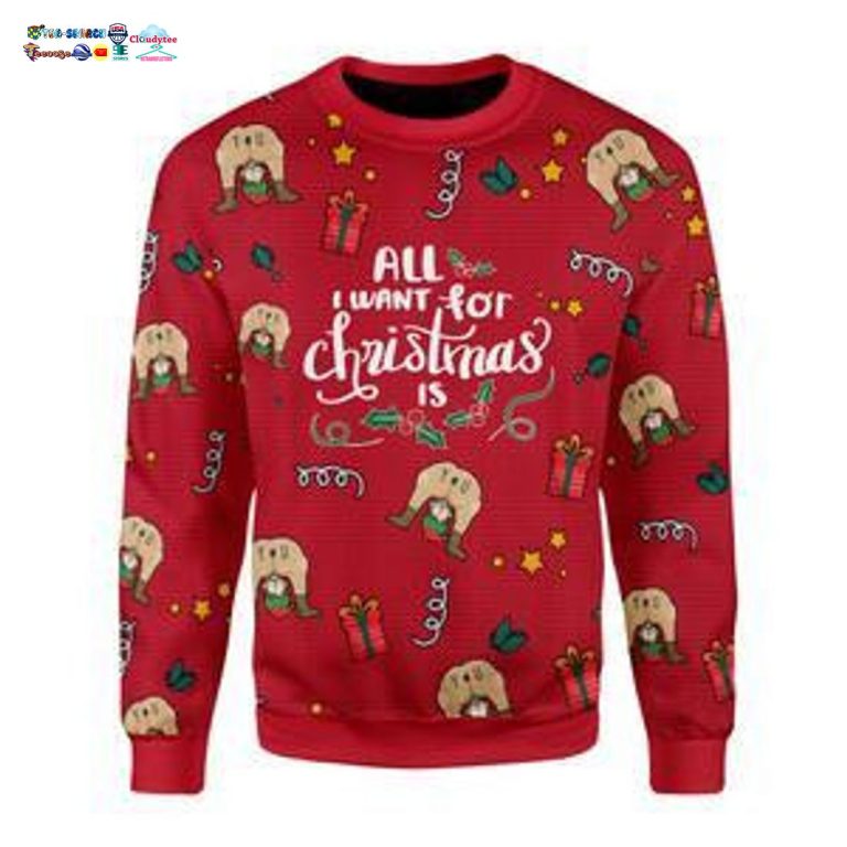 All I Want For Christmas Is You Ugly Christmas Sweater - Nice shot bro