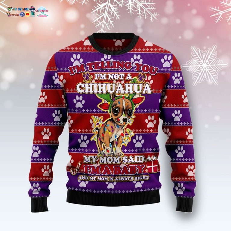 chihuahua-baby-ugly-christmas-sweater-3-MDL7y.jpg