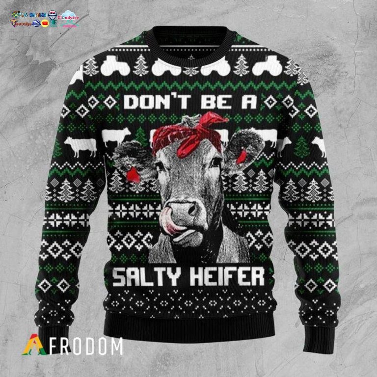 Don't Be A Salty Heifer Ugly Christmas Sweater - Best picture ever