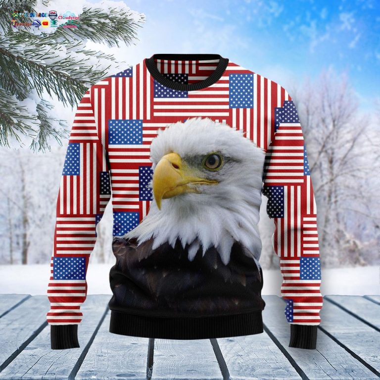 Eagle USA Flag Ugly Christmas Sweater - This is your best picture man
