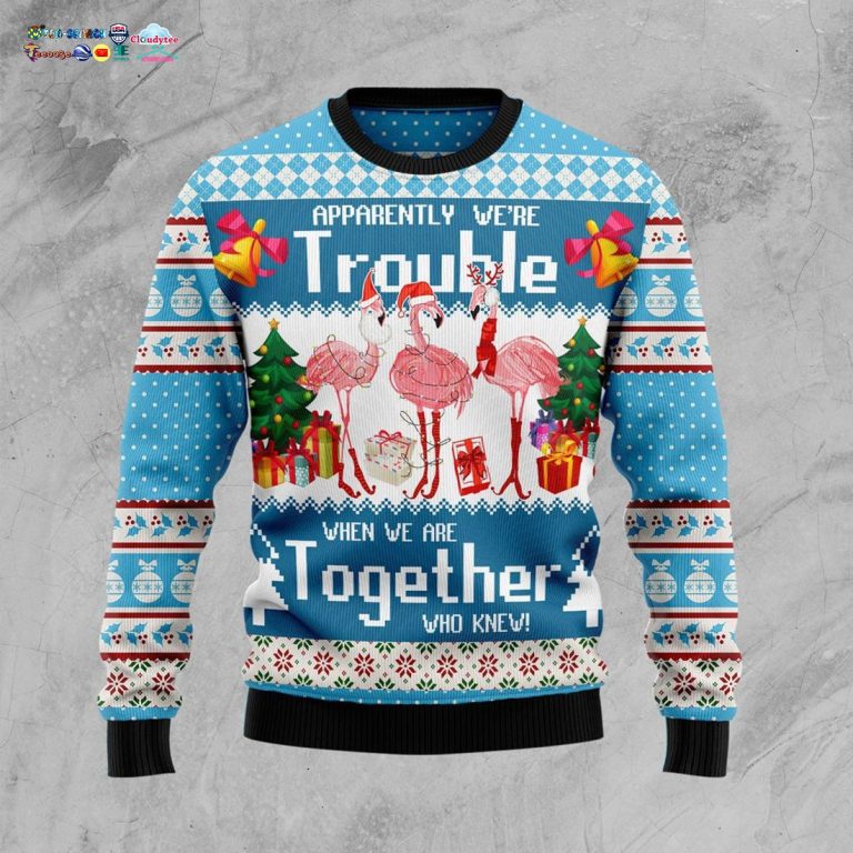 flamingo-apparently-were-trouble-when-we-are-together-who-knew-ugly-christmas-sweater-3-OBtV1.jpg